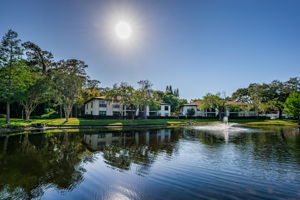 Common Area Pond2