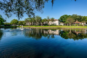 Common Area Pond3