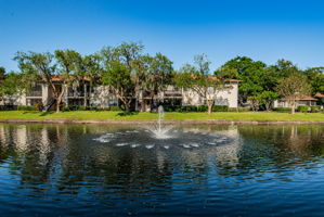 Common Area Pond4