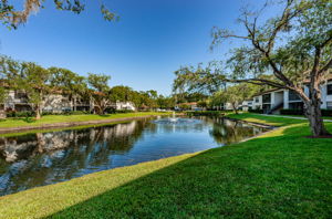 Common Area Pond5