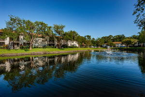 Common Area Pond6