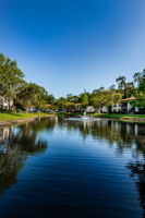 Common Area Pond7