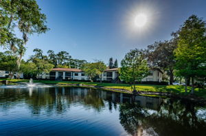 Common Area Pond8