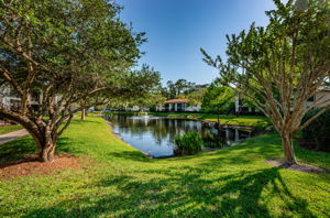 Common Area Pond9