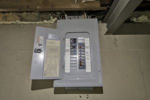  Photo 49