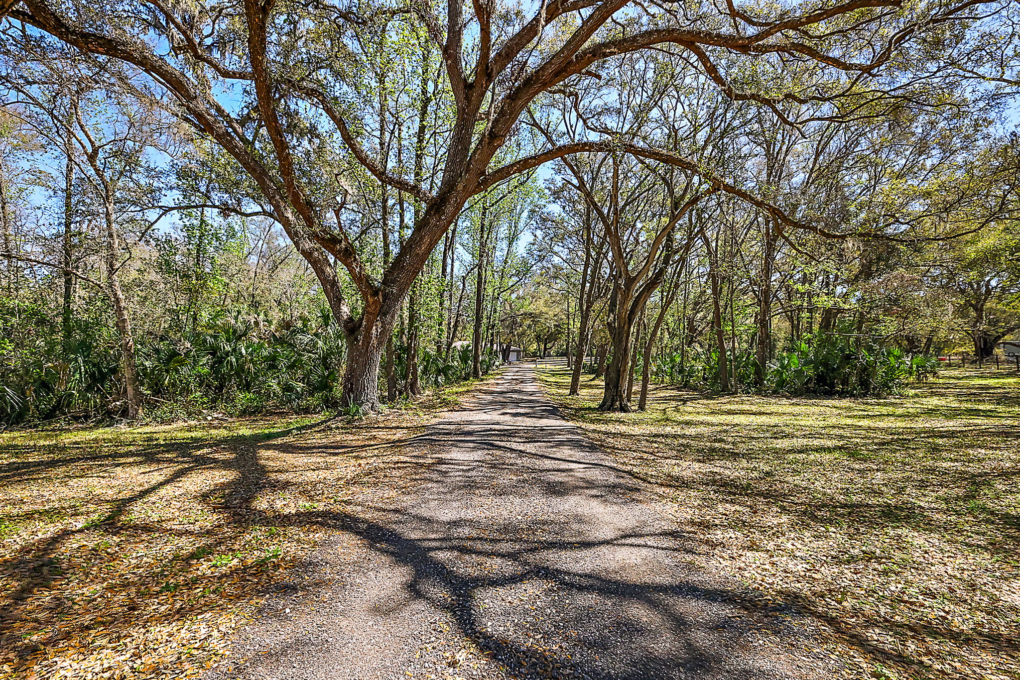 Driveway