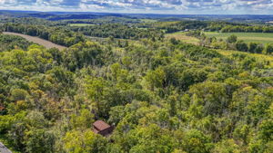  Photo 61