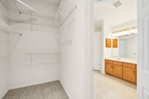 Primary Bedroom Closet