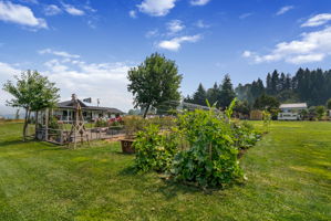  Photo 49