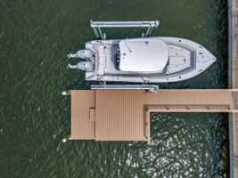 Aerial (17)