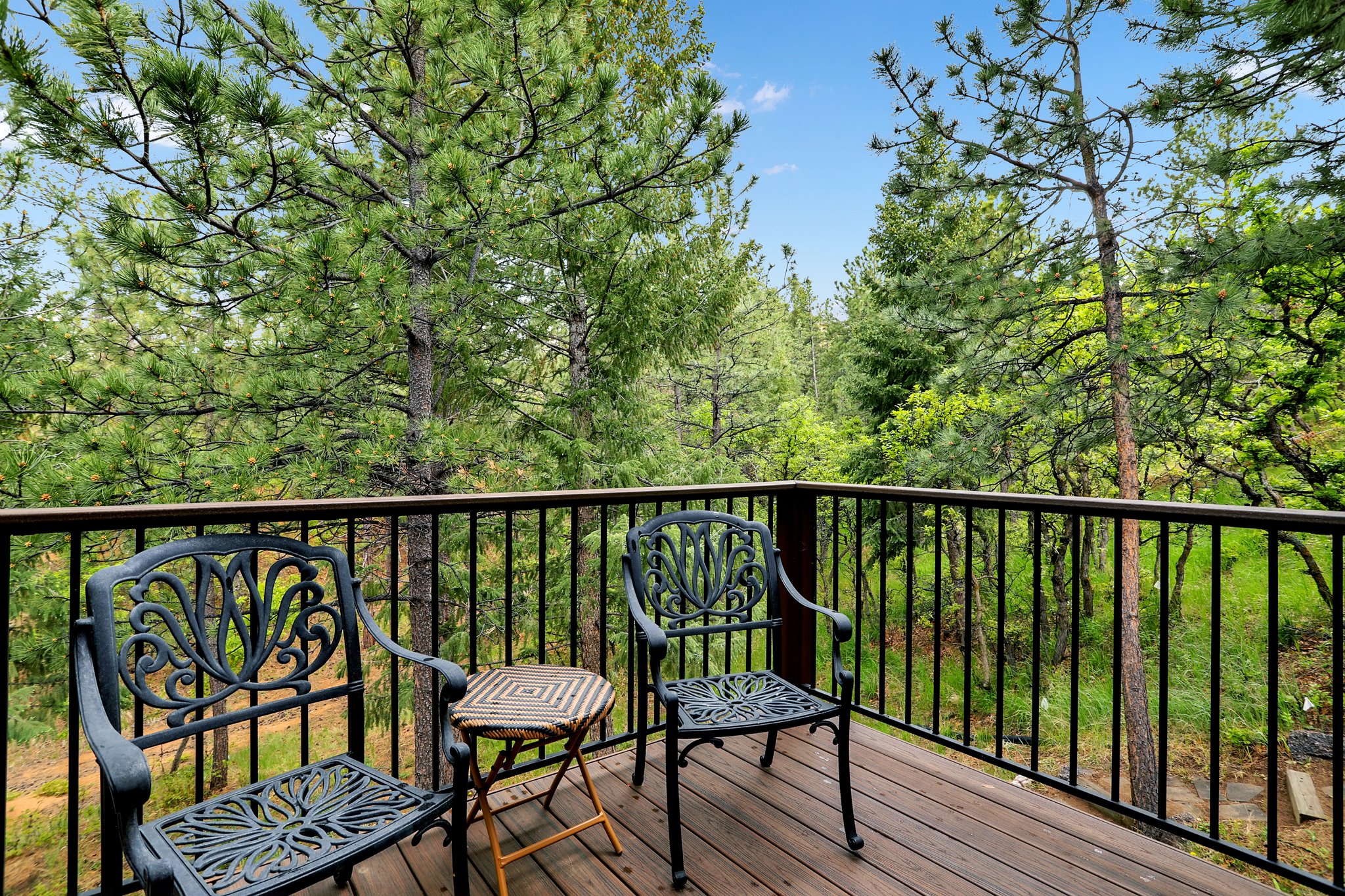 3390 Orion Dr, Colorado Springs, CO 80906 PixVid