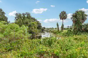 Lake Diane Rd-S1909-037.jpg