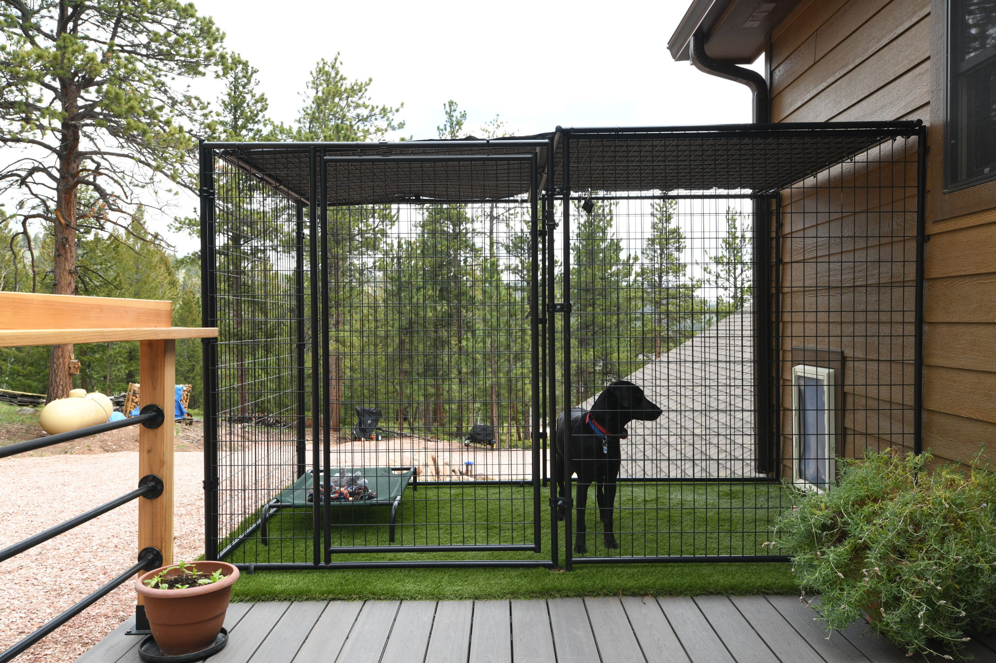 Outdoor/ Indoor Dog Kennel