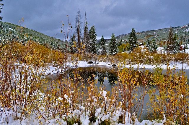 Beautiful Every Season