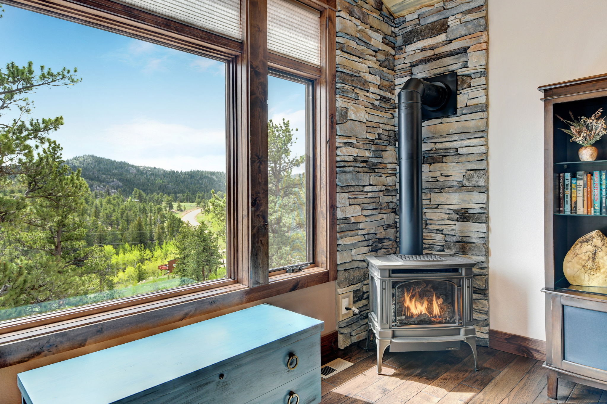 Living Room Gas Cast Iron Stove with Built-in Thermostat