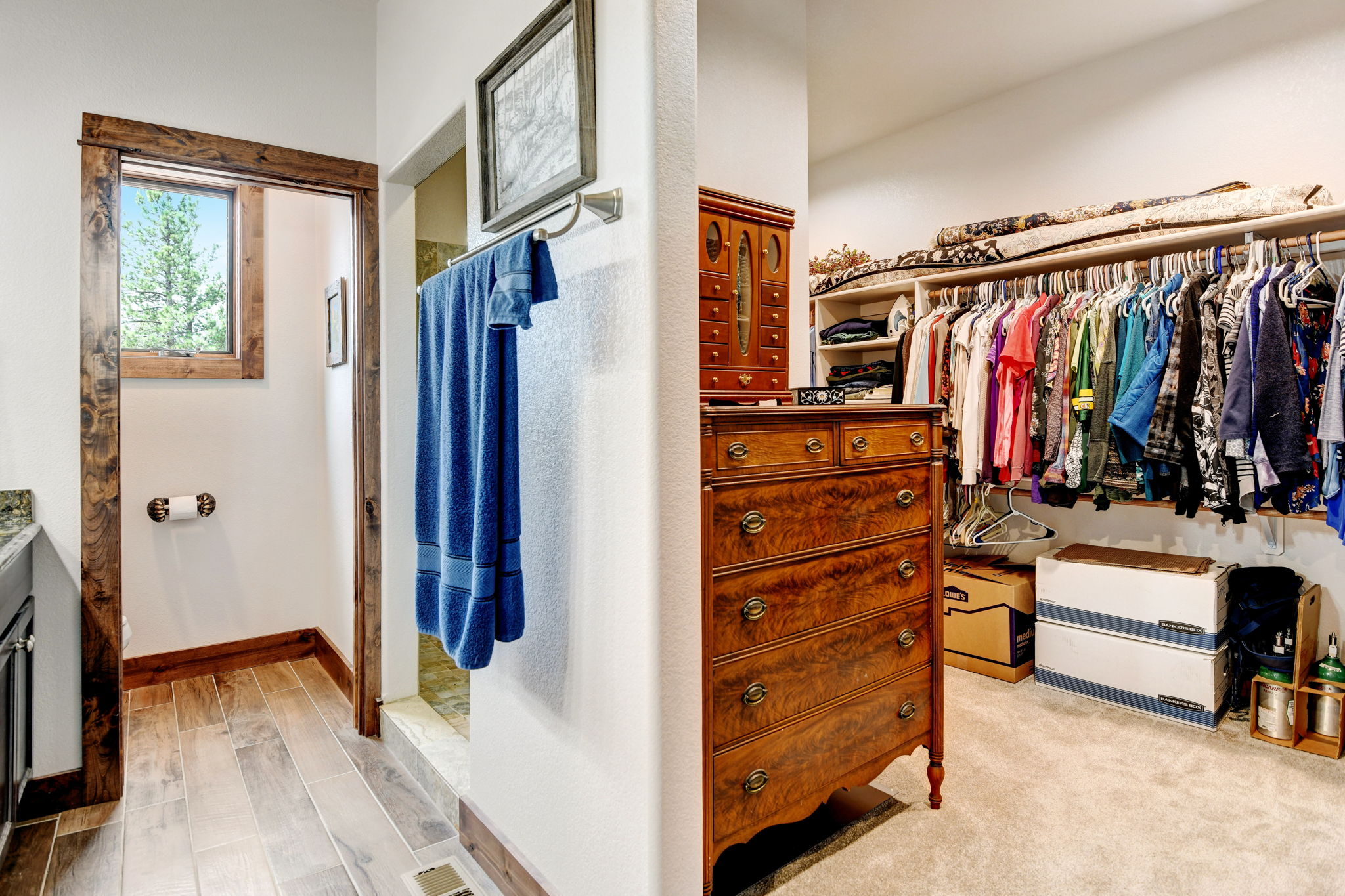 Primary Bathroom & Walk-in Closet