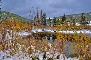 Beautiful Every Season