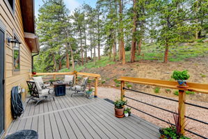 Back Deck off Kitchen