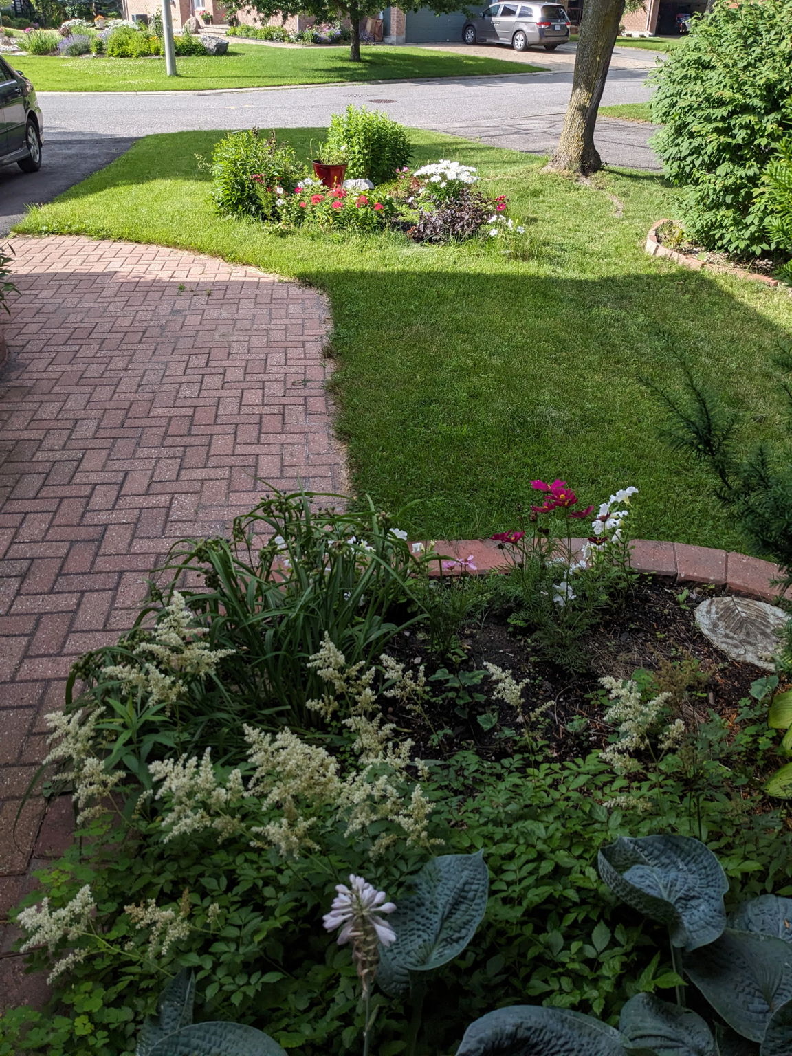  Photo 46