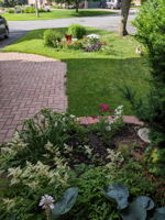  Photo 46