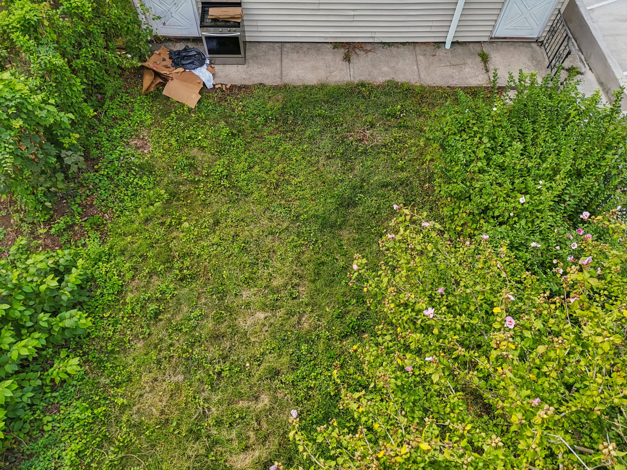 Clarendon Ave-S1109-048.jpg