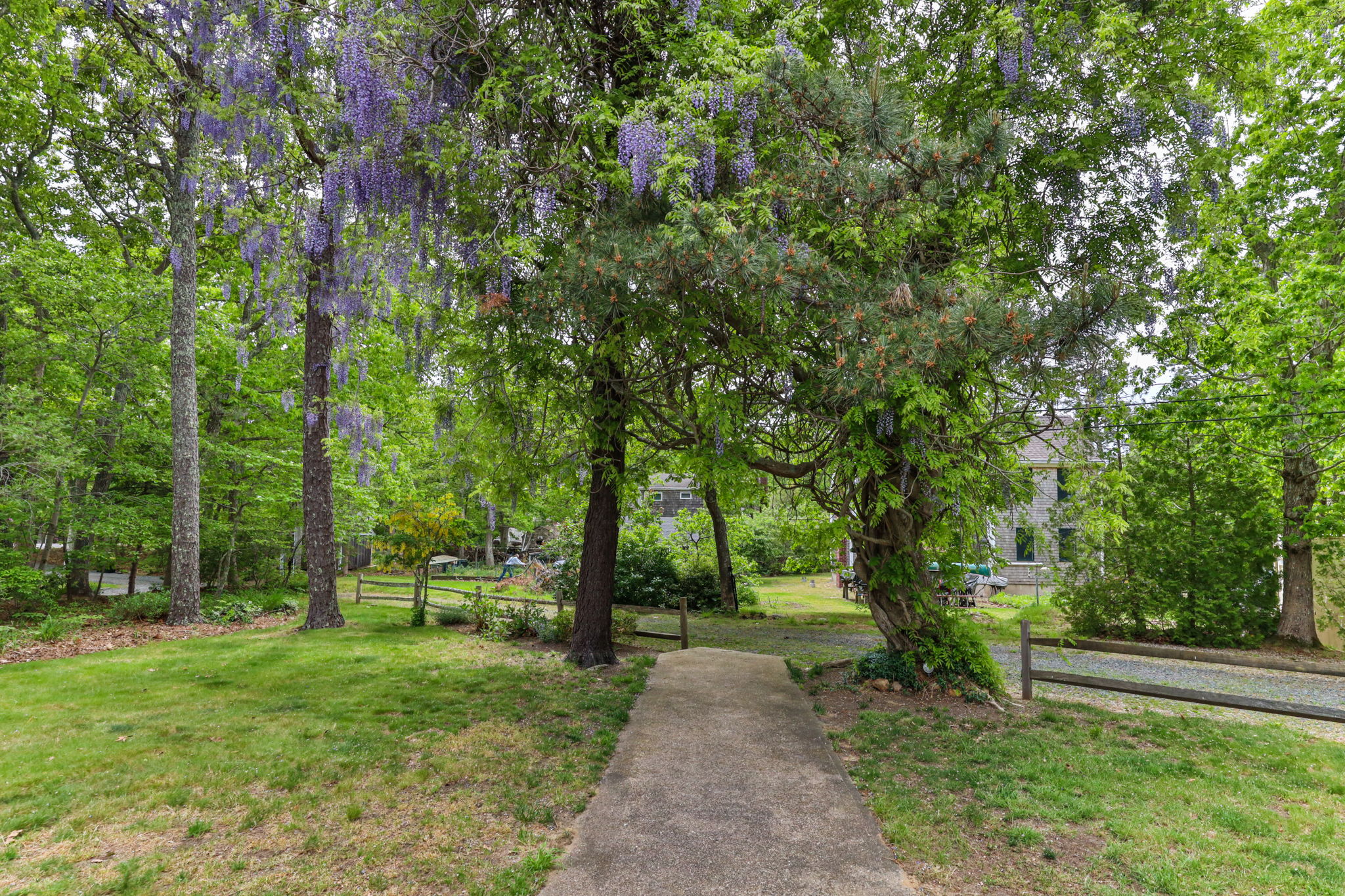  Photo 45
