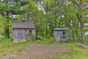  Photo 38