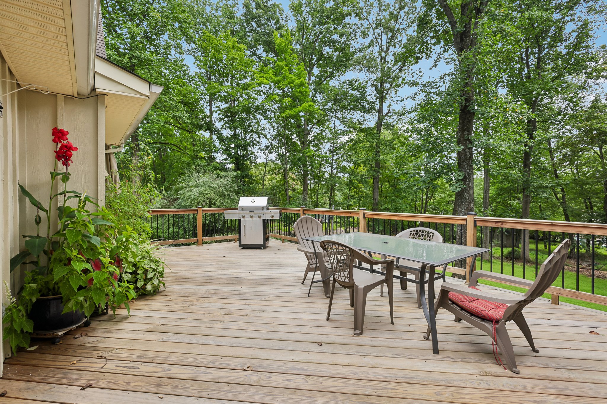 Forest Dr-S1508-040.jpg