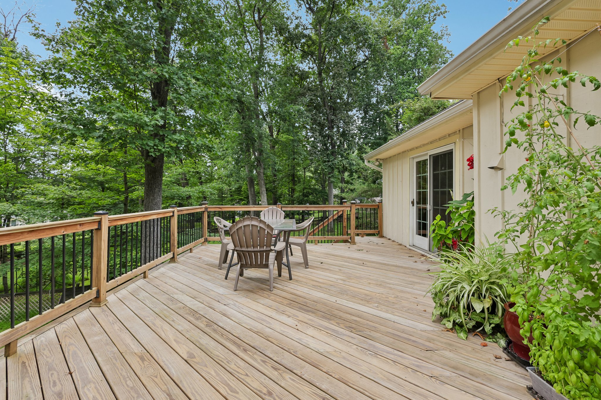 Forest Dr-S1508-041.jpg