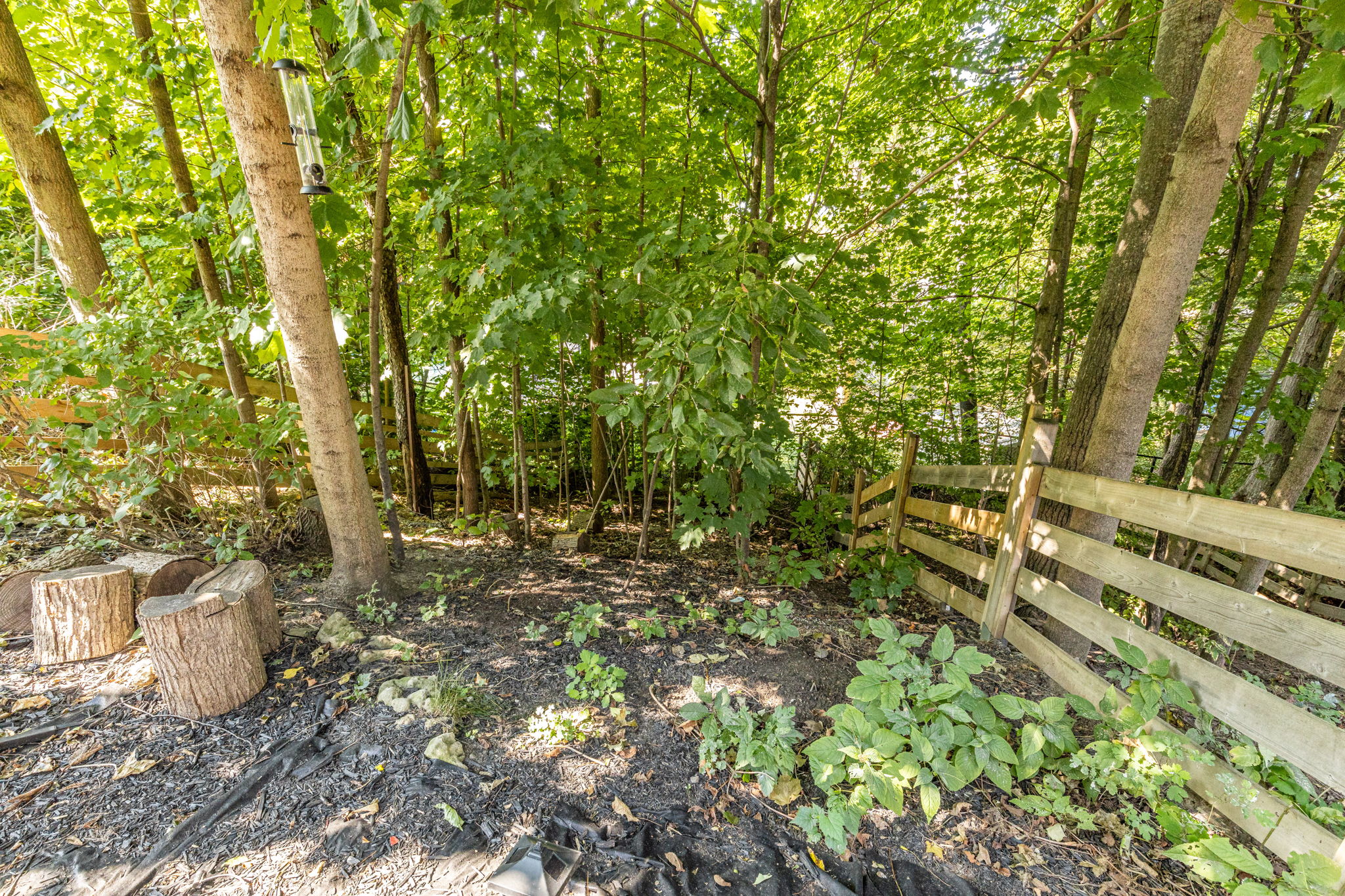 Georgina property showcase — delivered property photograph 38