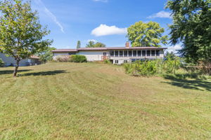 Back View