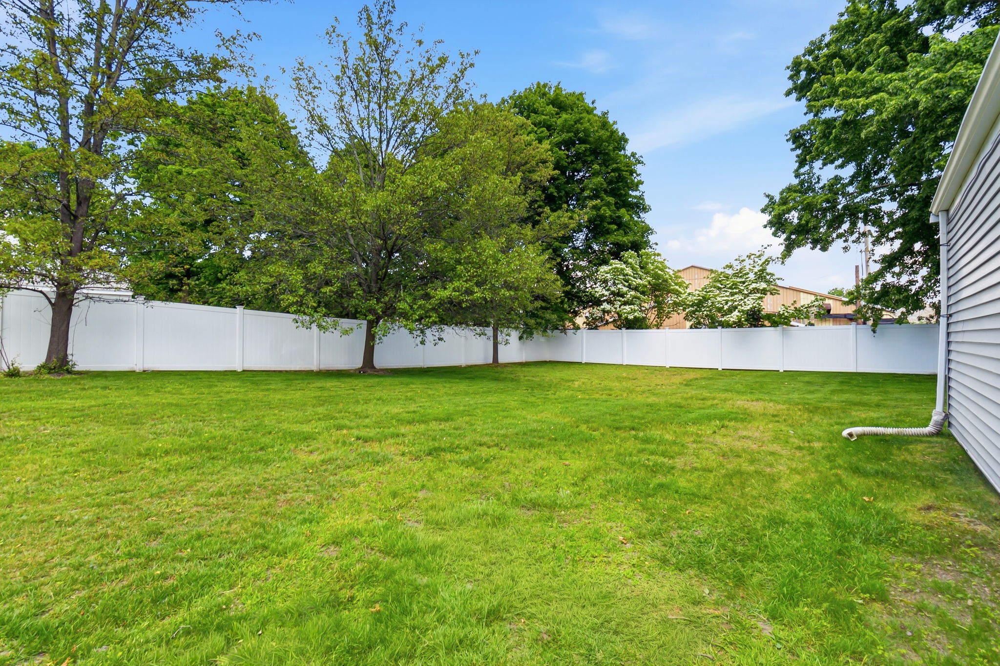  Photo 35