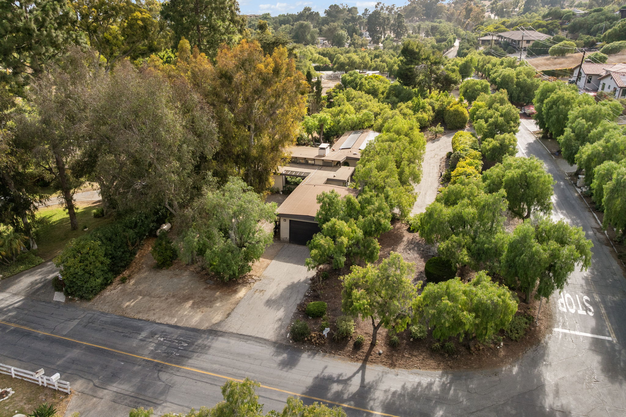  Photo 51