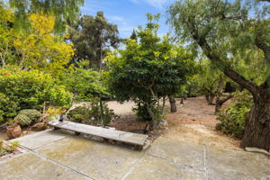  Photo 37
