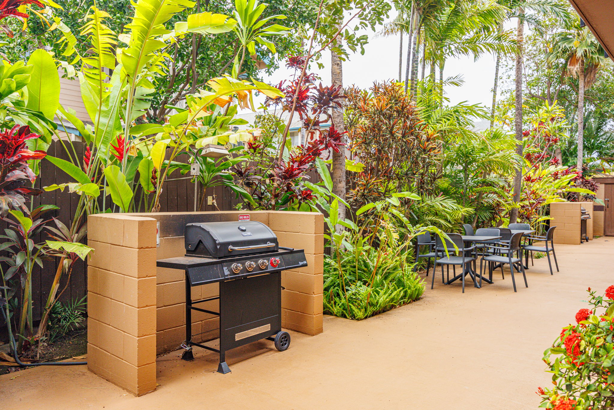  Photo 44