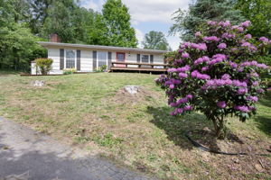  Photo 38