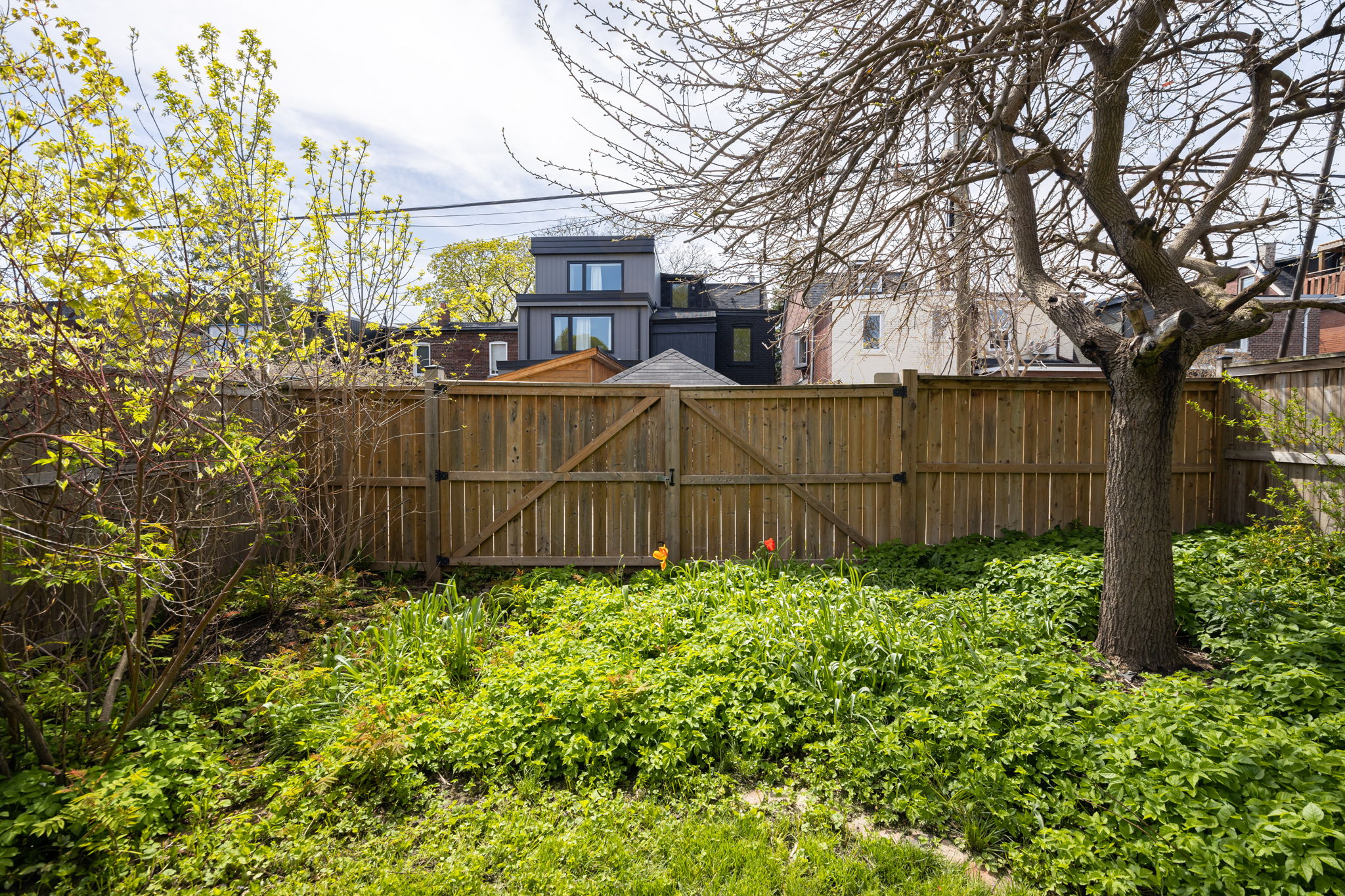 Toronto property showcase — delivered property photograph 12