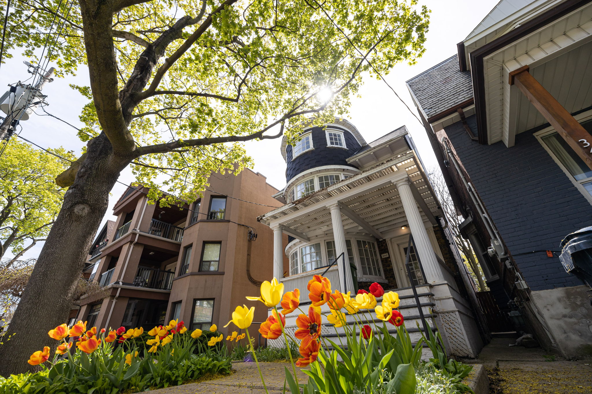 Toronto property showcase — delivered property photograph 7