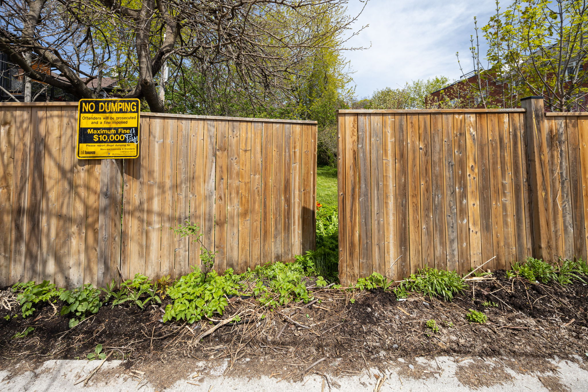 Toronto property showcase — delivered property photograph 9