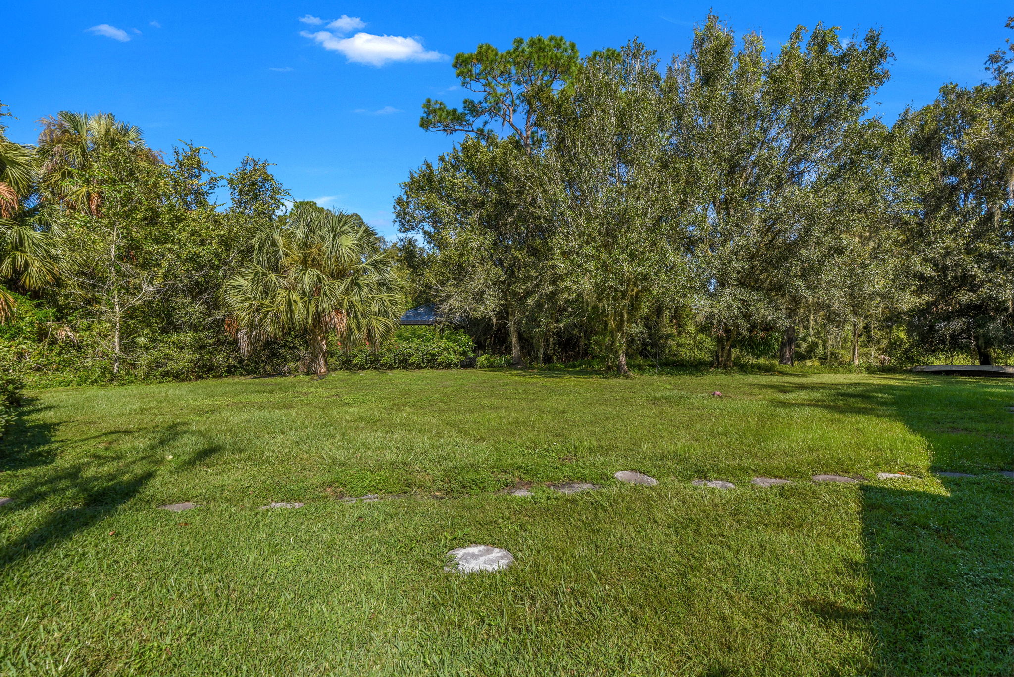 Backyard w/ Room For A Pool