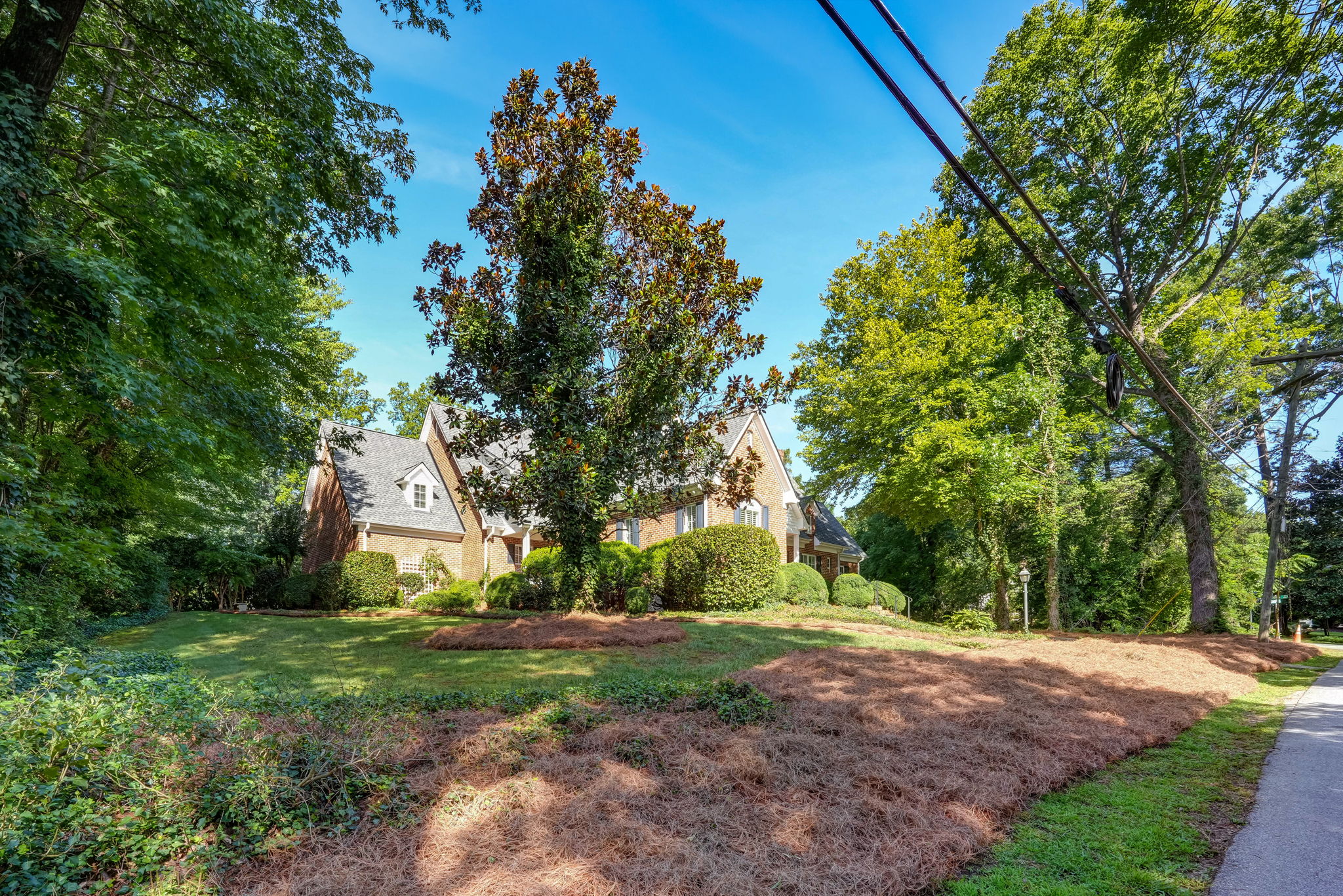 Front Yard