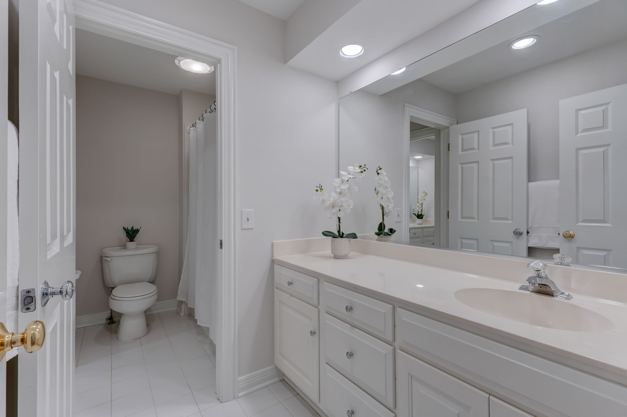 Jack & Jill Bathroom