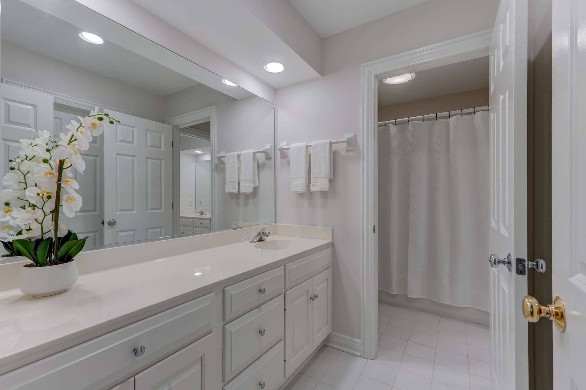 Jack & Jill Bathroom