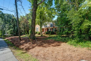 Front Yard
