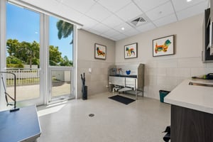 Bayshore Blvd 1204-1908-914.jpg