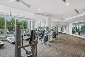 Bayshore Blvd 1204-1908-923.jpg