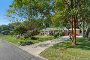 Front Yard