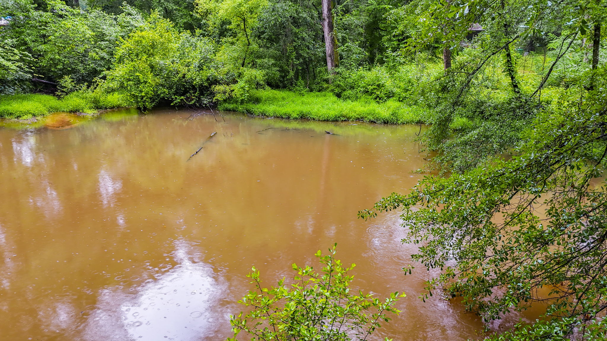 mppmedia3403glenwoodrd07