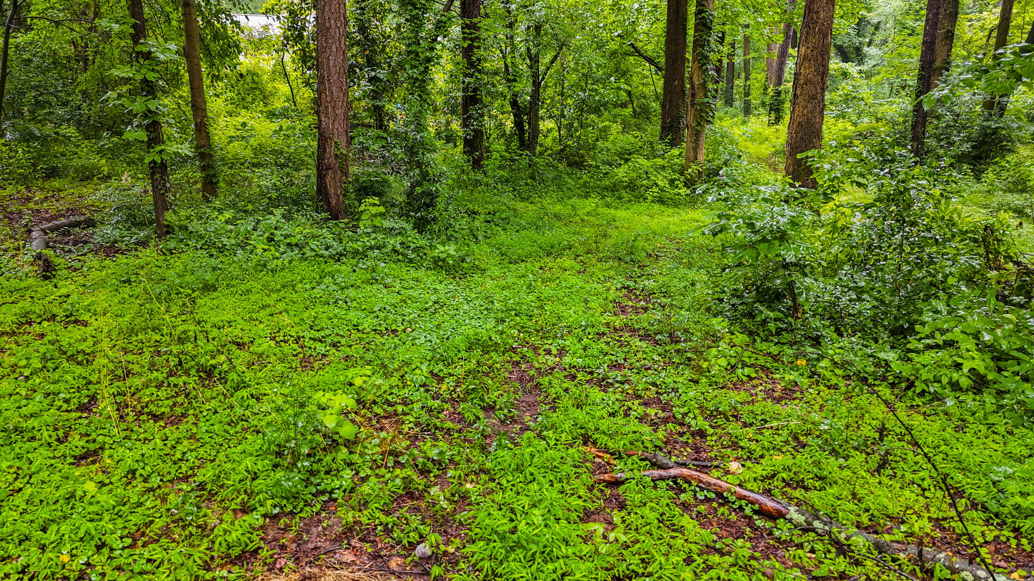 mppmedia3403glenwoodrd10