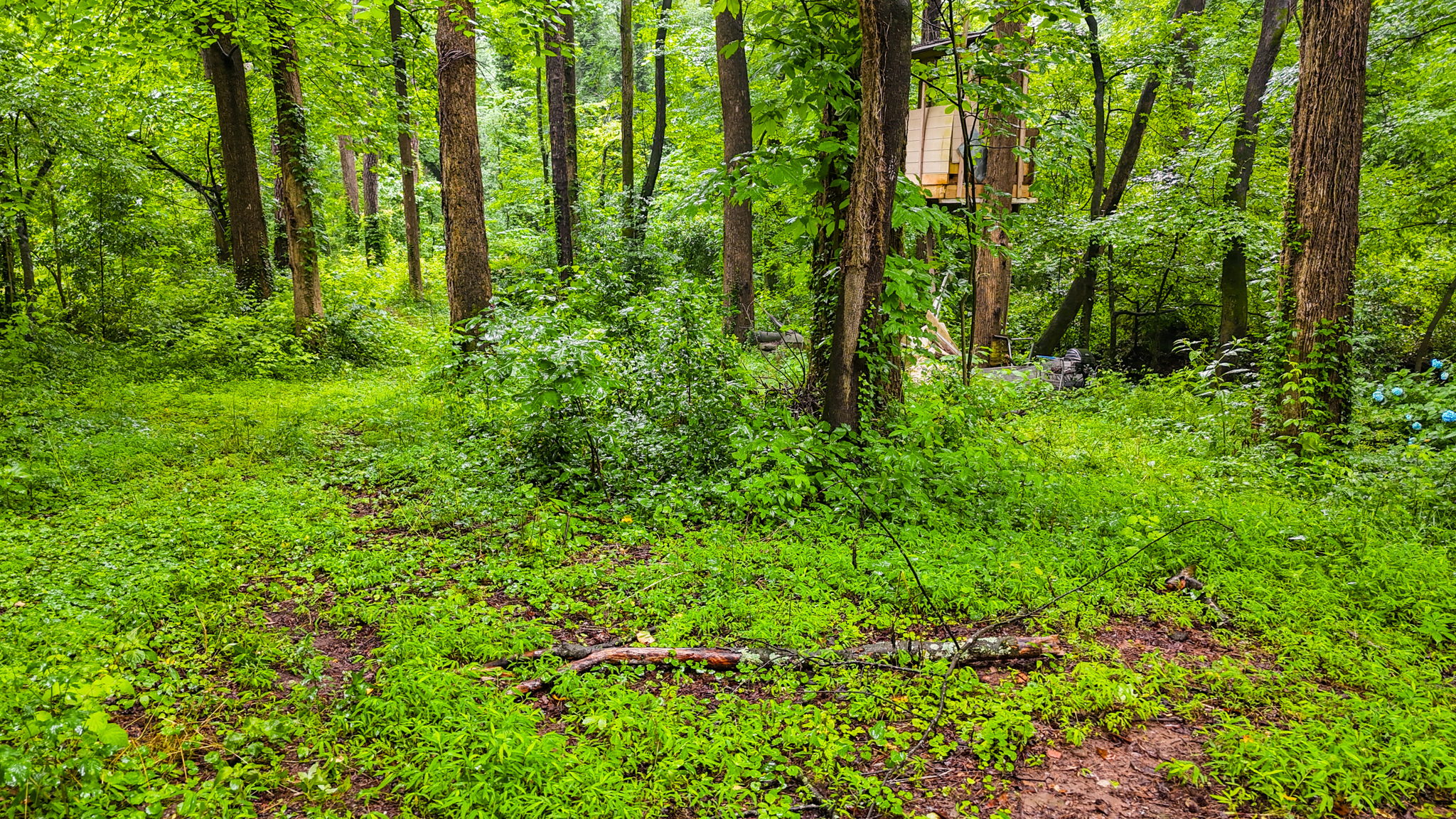 mppmedia3403glenwoodrd11